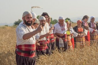 Efeu i folklore: Fra kærlighedens symbol til dæmonisk plante