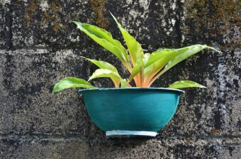 Sådan passer du bedst på dine planter i hængepotter